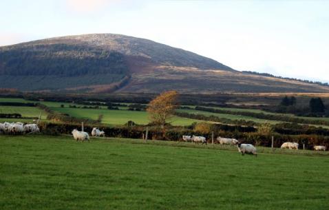 Things to do in Wexford