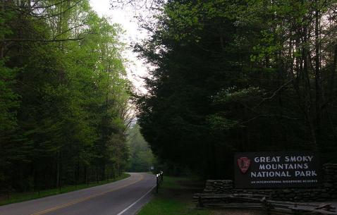 Things to do in Great Smoky Mountains National Park