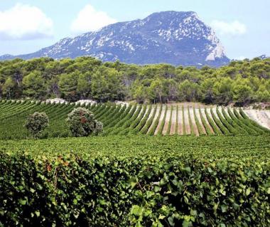 Pic Saint Loup Tours