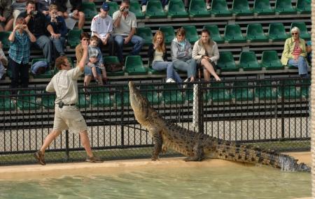 Australia Zoo Image