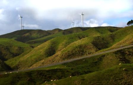 Pipiwharauroa Walking And Biking Trail Image