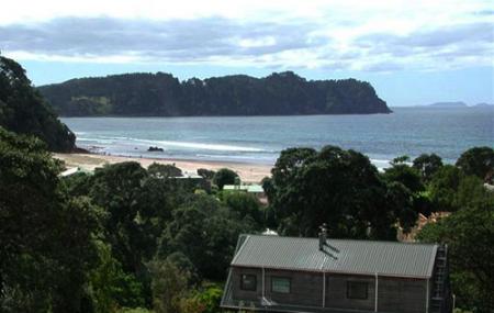 Auntie Dawns Place Image