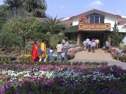 Cheetal Grand Image
