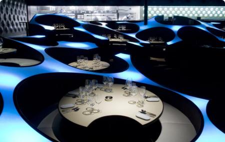 Blue Frog Image