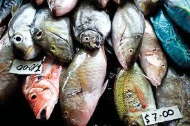 World Fish Centre Image