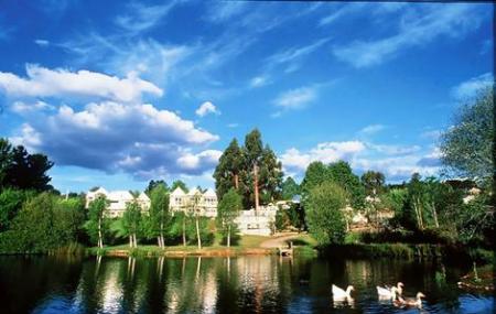 Daylesford Image