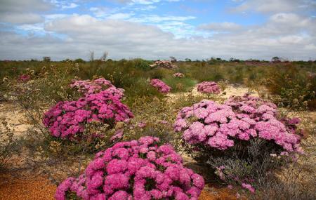 Kalbarri National Park Image
