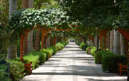 Aswan Botanical Garden Image