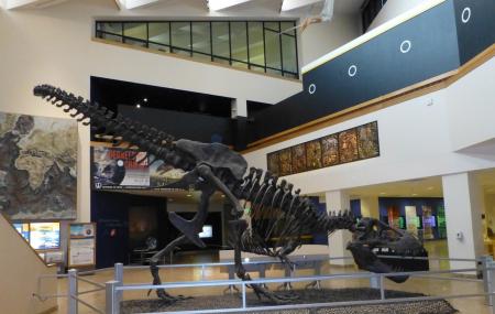 New Mexico Museum Of Natural History And Science Image