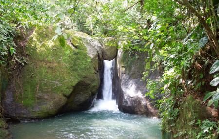 rica costa tours waterfall jaco