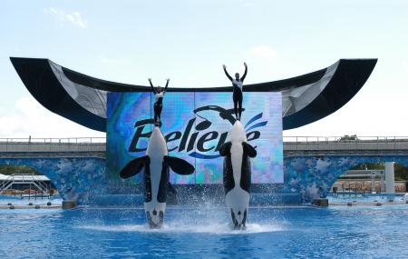 Seaworld Image