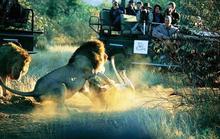 Thornybush Game Reserve Image