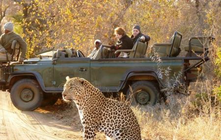 Game Drives At Phalaborwa Gate Image