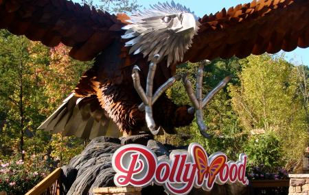 Dollywood Image