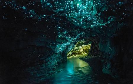 Te Anau Glow Worm Caves Image