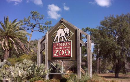Lowry Park Zoo Image