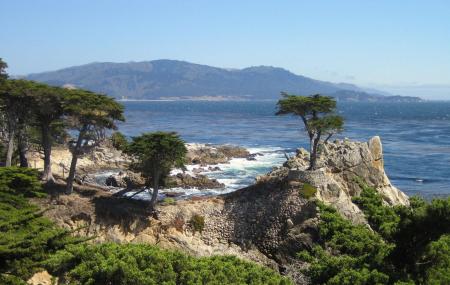 17-mile Drive At Pebble Beach Image