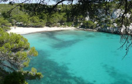 Cala Turqueta Image