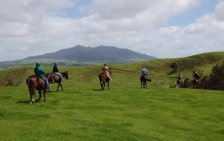 Magic Mountain Horse Treks Image