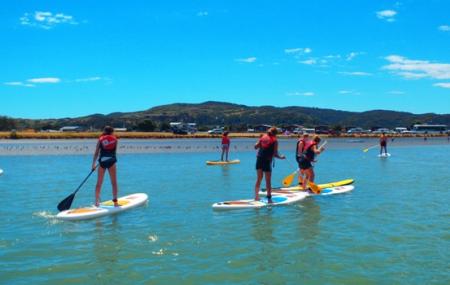 Raglan Paddle-boarding Image