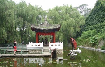 Xiangshui Temple Image
