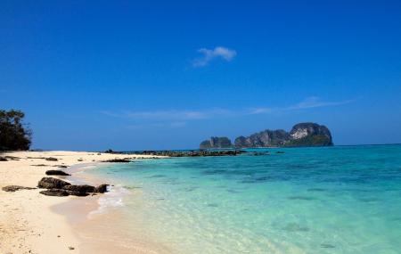 Bamboo Island Image