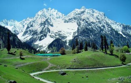 Baltal Image