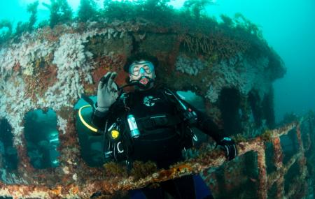 Lena Diving Wreck Image