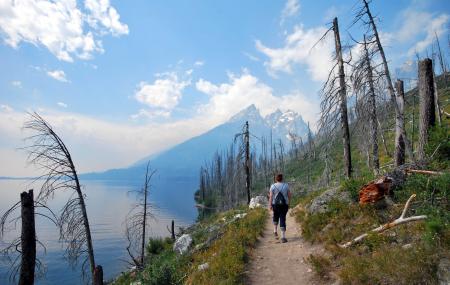 Jenny Lake Trail Image