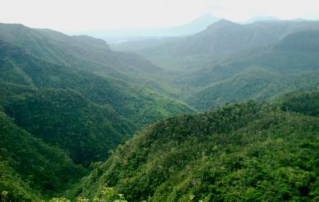 Black River Gorge National Park Image