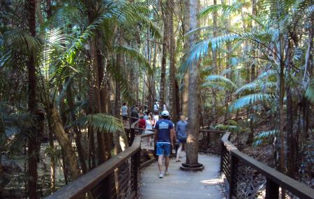 Central Station And Wanggoolba Creek Image