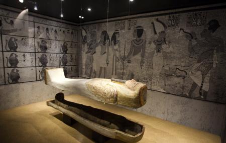Barcelona Egyptian Museum Image