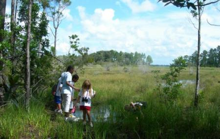 Lake Lizzie Nature Preserve Image