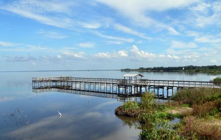 Lake Apopka Image