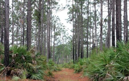 Hal Scott Regional Preserve And Park Image