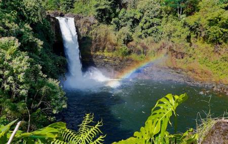 Keezharkuthu Falls Image