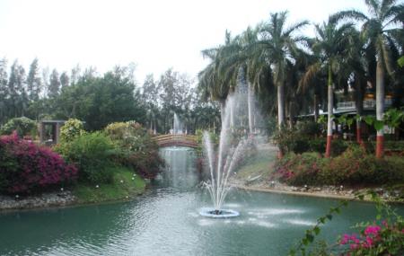 Mirasol Lake Garden Image