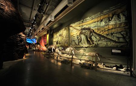 Jurassic Land Image