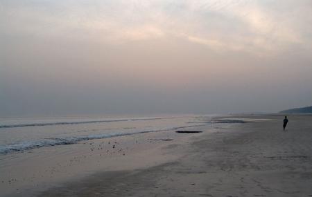 Shankarpur Beach Image
