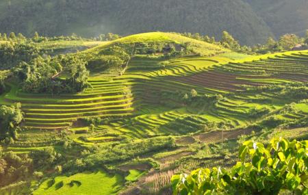 Muong Hoa Valley Image