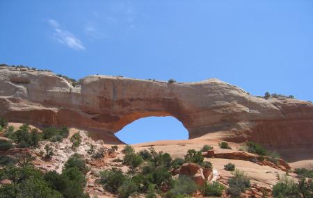 Wilson Arch Image