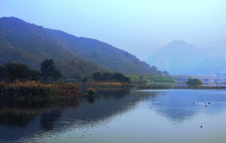 Man Sagar Lake Image