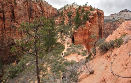 Angels Landing Image