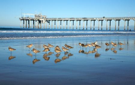La Jolla Shores Image