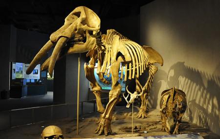 Denver Museum Of Nature And Science Image