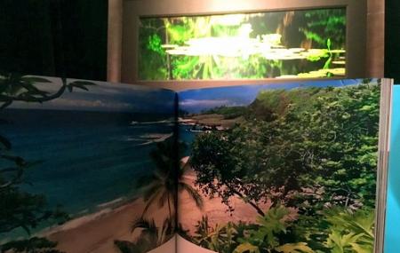 Peter Lik Gallery Image