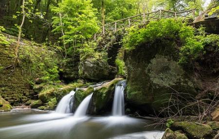 Mullerthal Trail Image