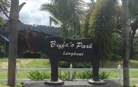 Buffalo Park Image