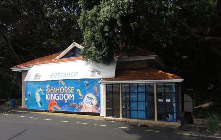Kelly Tarlton's Sea Life Aquarium Image