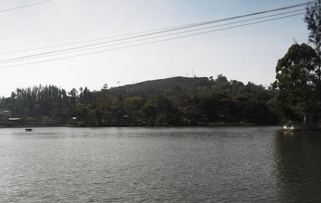 Big Lake Image